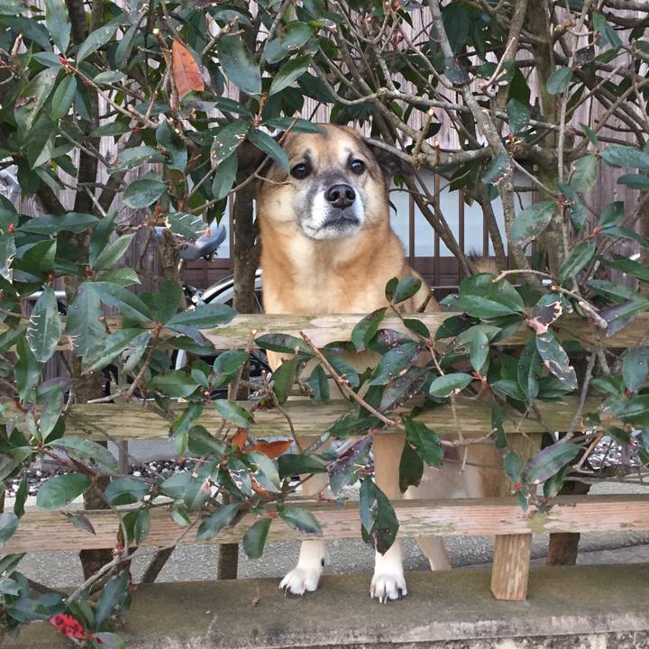 05df9998 8198 4145 9b0f 9c8bee292aa9 1517392734657