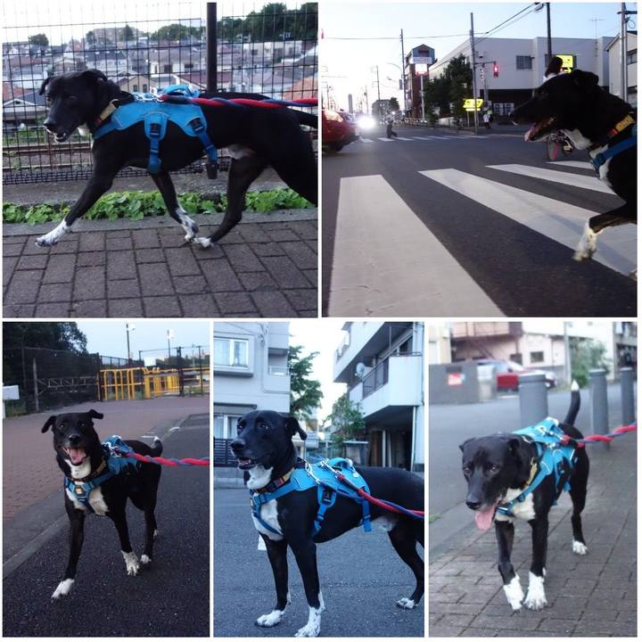 05dfeaa9 64b1 4e28 979a 056e4415dd24 1621766884382