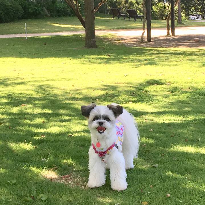 05dff088 1feb 4ca2 a8cf ab2b175e8e05 1530268320602