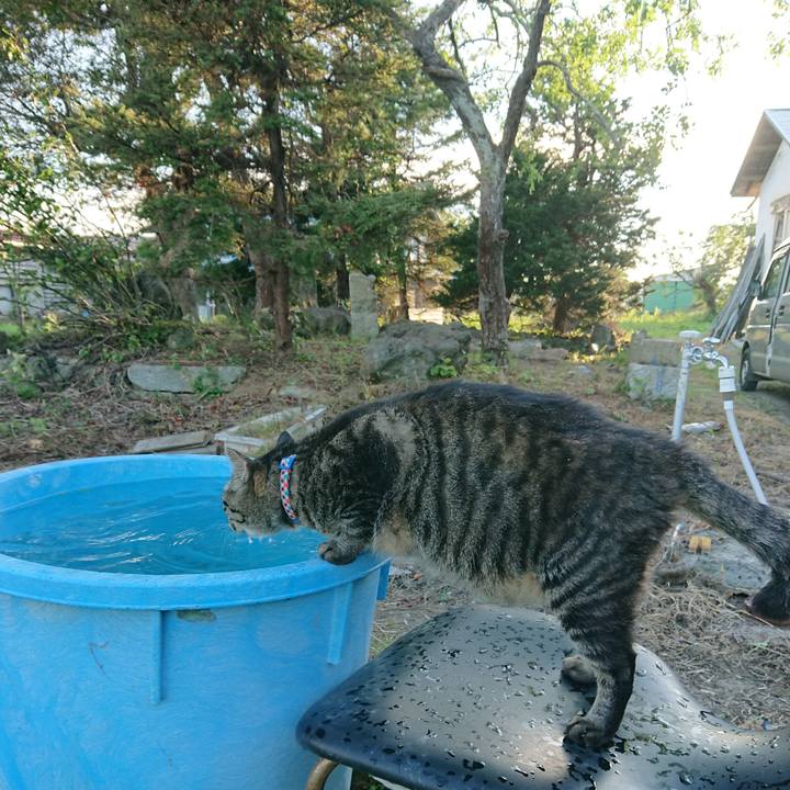 05e00686 903d 4889 83ae b906f52d4182 1659258109068