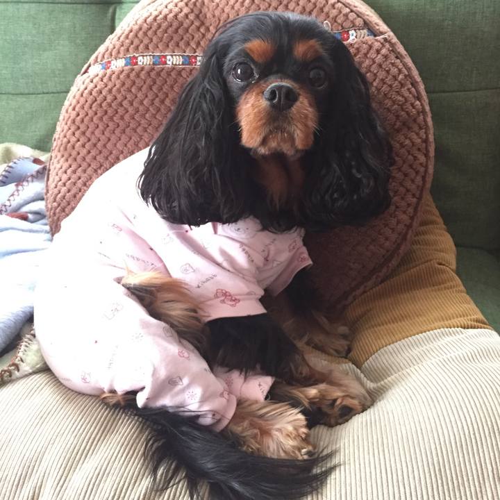 05e029c8 6953 4580 9f91 d4c1bc84321f 1516113029217