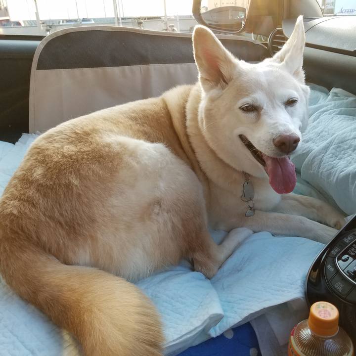 05e02ebe 6b10 46cc a19f 2586f92d5a84 1587003903631