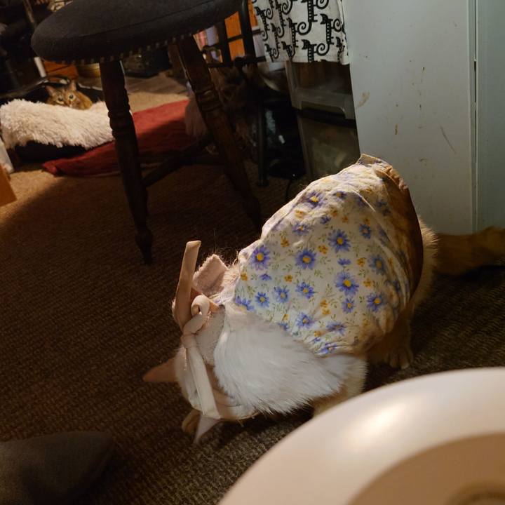 05e06eba ca68 4182 85c7 ad38feb543a0 1764253592668