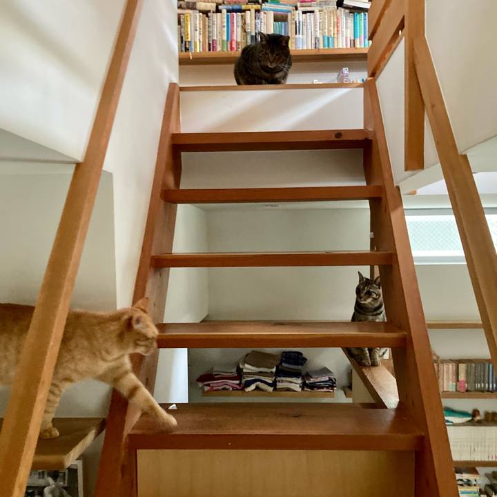 05e10304 3e5f 4ffb b01b 23789f000b1a 1679528713348