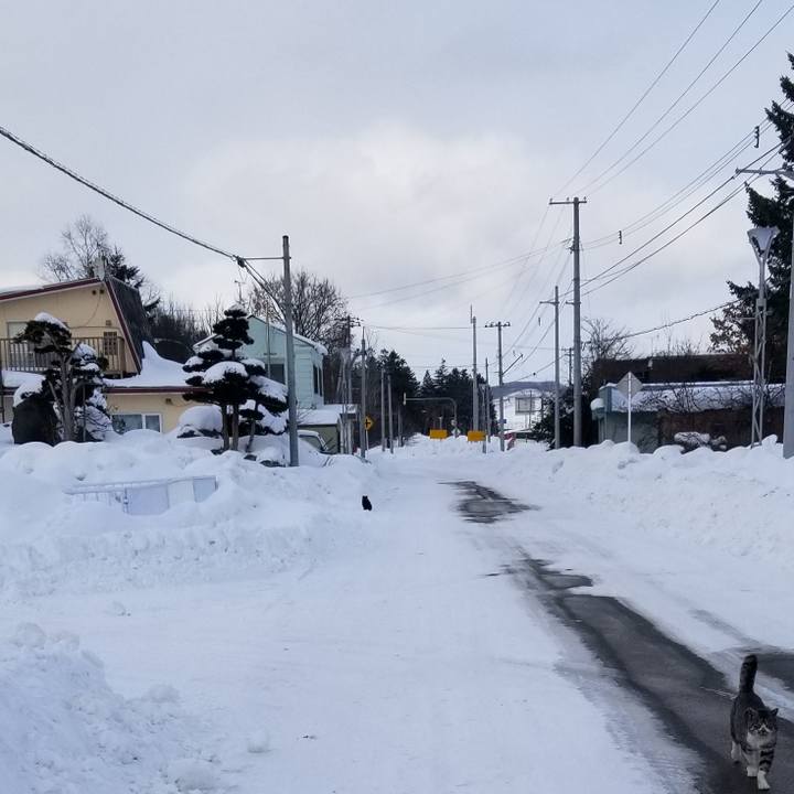 05e1257b 5901 4bc7 af94 6bdf242af2fc 1673963242227