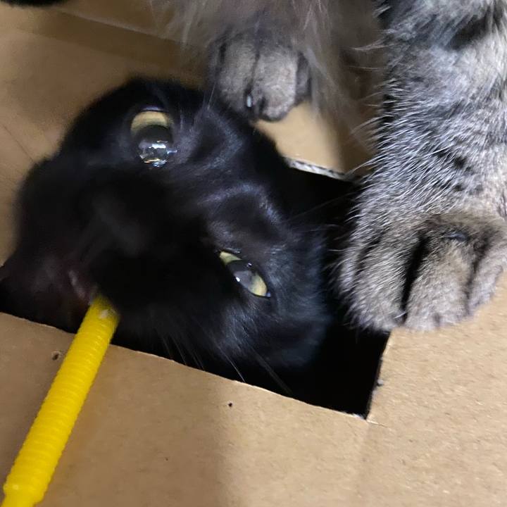 05e17063 ff99 431b a525 72295b723d55 1618051514688