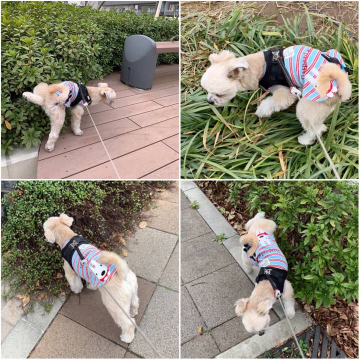 05e1f41c f8e2 4a22 aecb 287c0e5ef8da 1552720205853