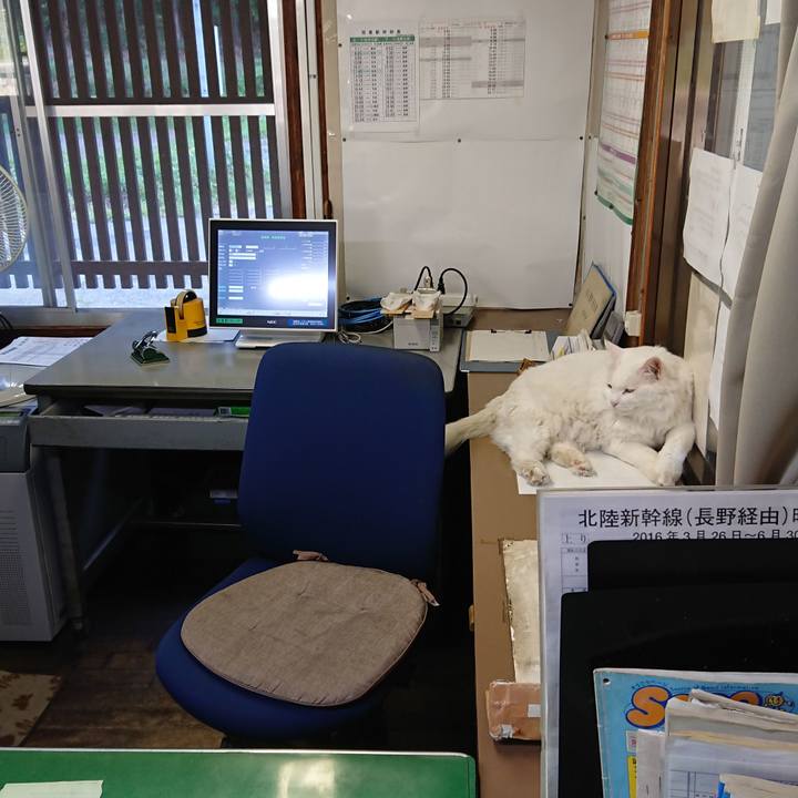 05e1fb87 2881 48e2 a4c3 399b3704fdf0 1532644096875