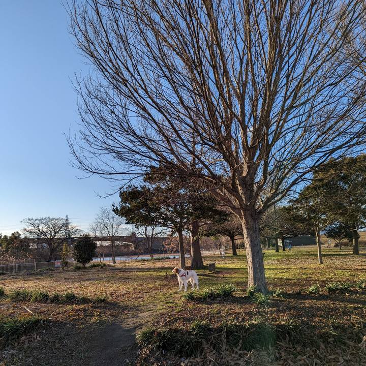 05e23e1e c4e0 429f 84f5 41d7e7265e72 1674551301481