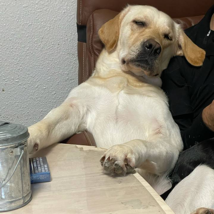 05e251d2 c85d 4165 9efa 7b4002d07d25 1697002539344