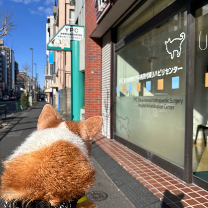 05e26e2a ea42 449f b119 4df35d124036 1740182464262