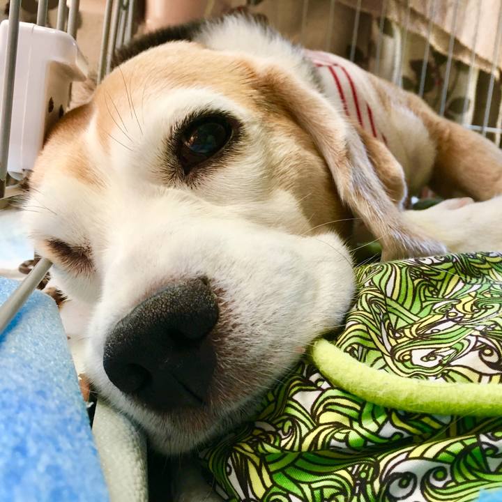 05e2713d 0b46 4207 8e5c a25185fdc456 1562739818756