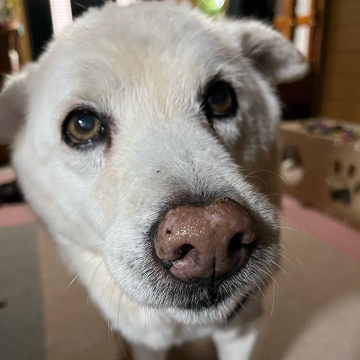 05e30cd1 5f88 4368 8efc 7986c1e95a2c 1766100395116