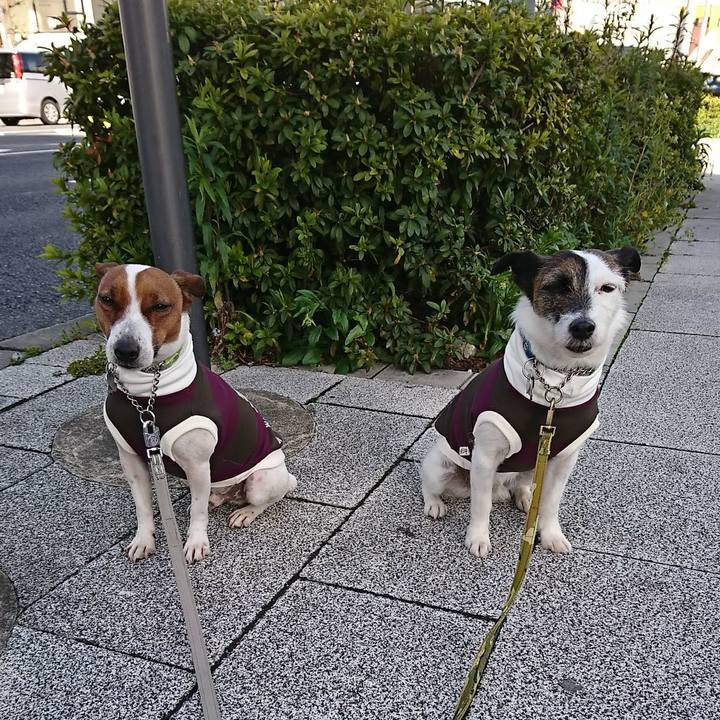 05e31ee0 7e2a 4d30 ab87 5bb26b841ff4 1585784038701