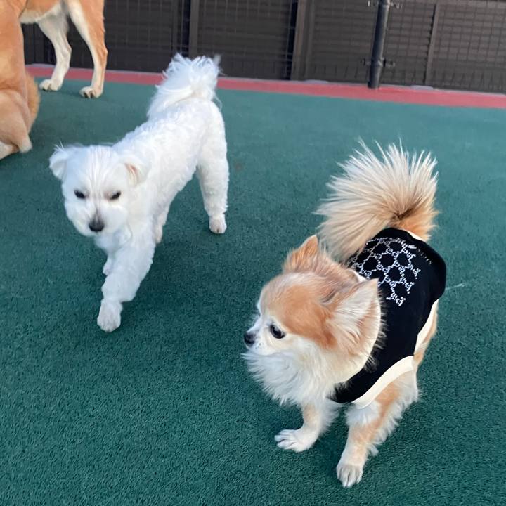 05e33a81 0680 4f38 a918 e672f74919e0 1769347816945