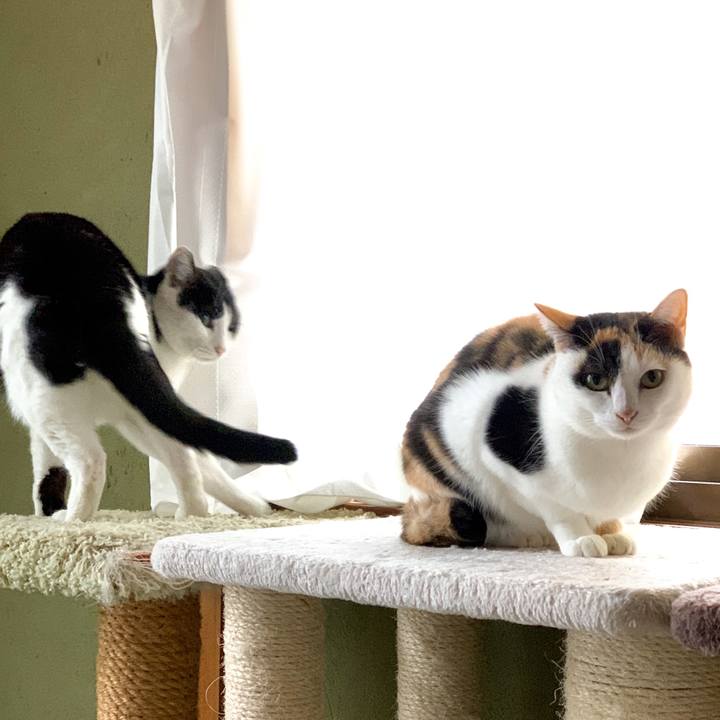 05e3594f 8fdd 4004 aae6 afc17613826d 1545615586051