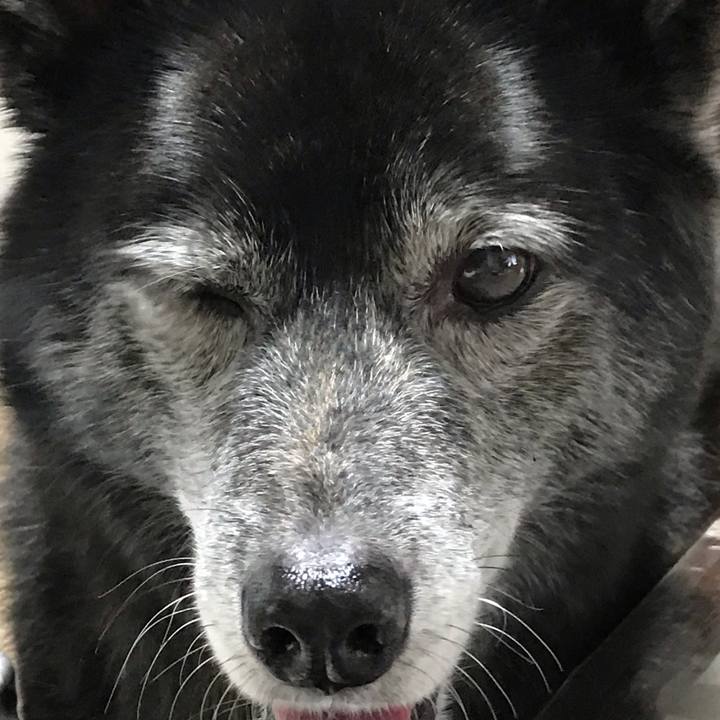 05e3a778 7d84 4809 baf4 2ef2ba32b448 1644218751811