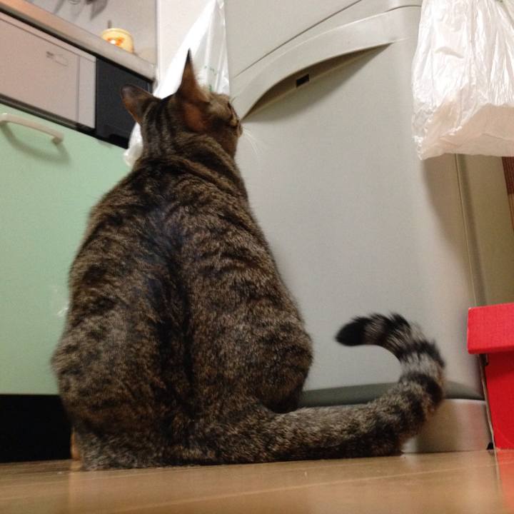 05e3a8d5 86c3 4639 8893 6364e9ddc6d8 1510656955808