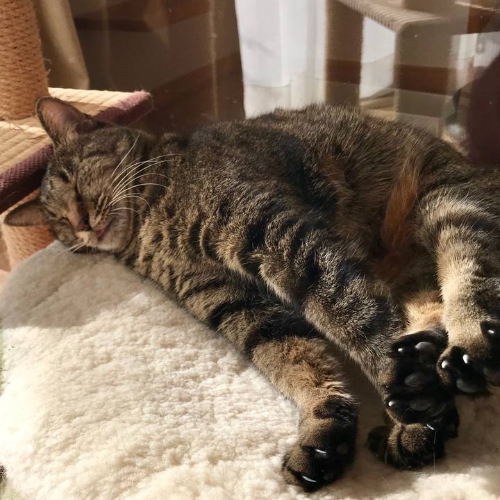 05e3cedc d9ec 4c3f 8c66 ac3350fd0478 1545721204588