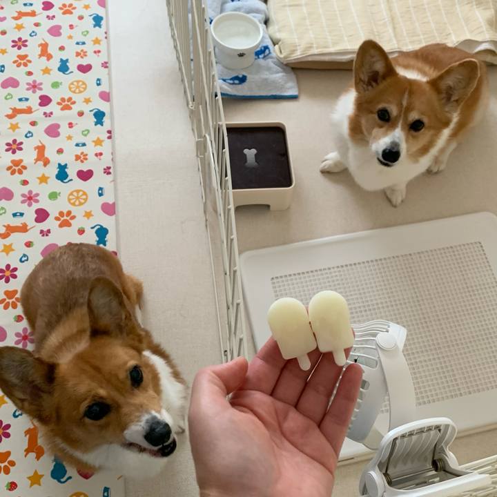 05e3deb6 c4c9 40cd abb4 a1dcd11d8c5d 1692237899620