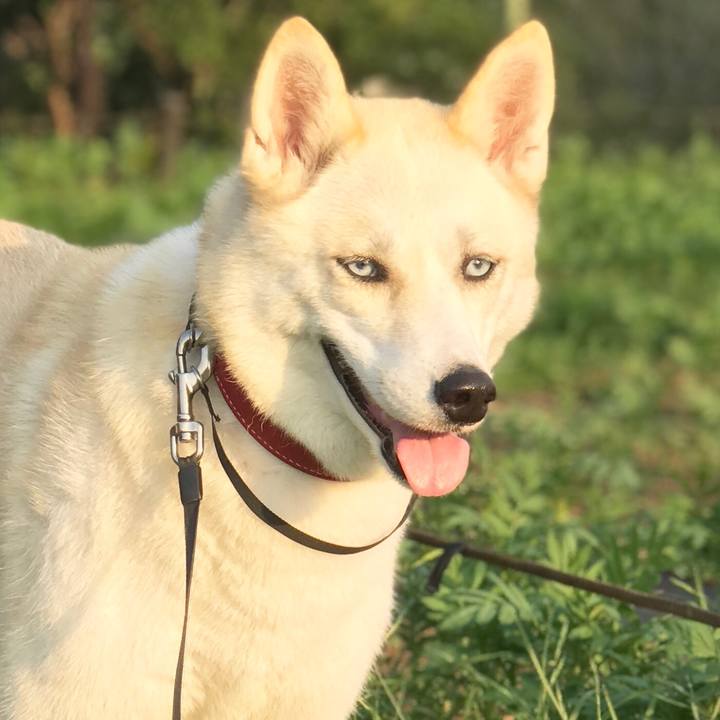 05e3fbbc 4e60 465c a01b c70eacfb41c0 1529658520796