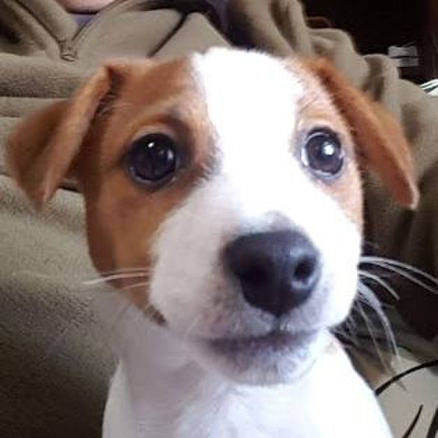 05e41b5e 473a 438d 8443 9d0a28c62efb 1550132822498