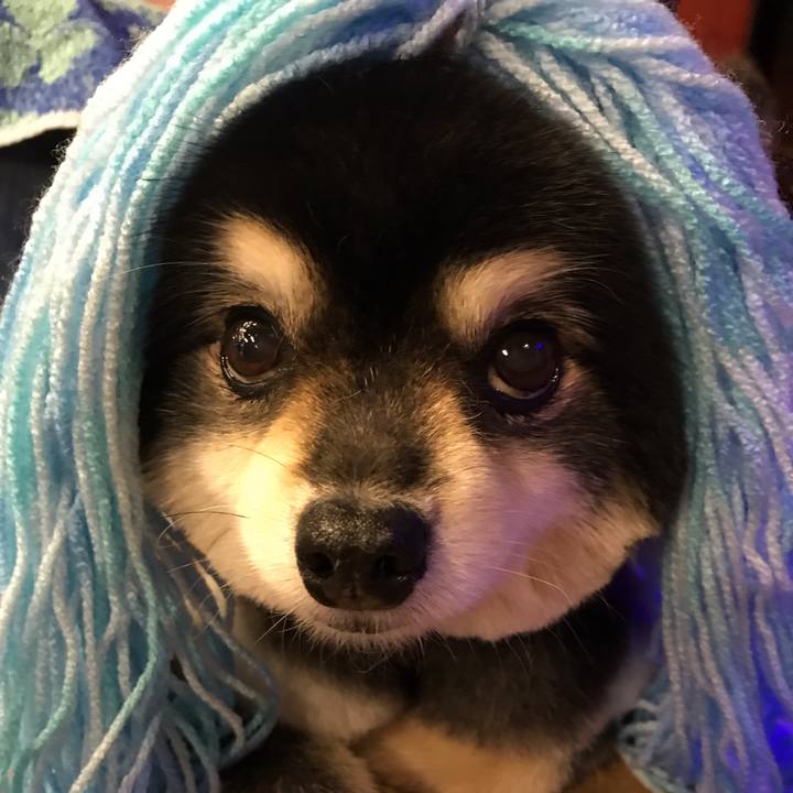 05e427da 5258 4dac b157 824090573a1e 1588858767738