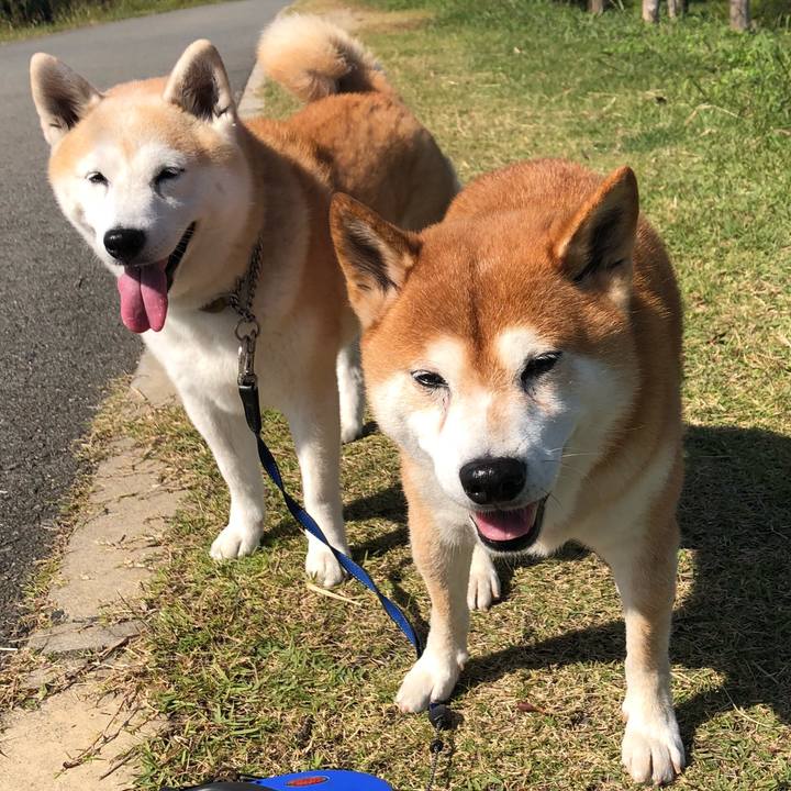 05e43203 820d 41b3 9181 f0bb01f85581 1540129882979