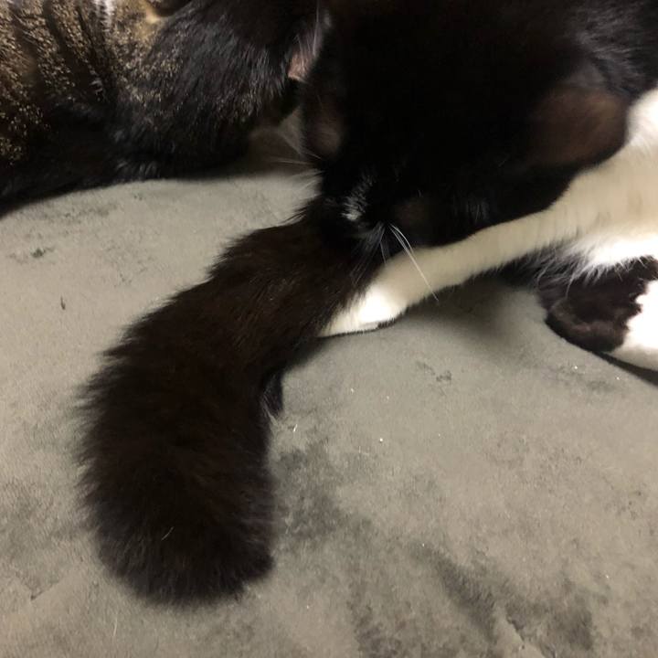 05e44343 89bd 428d 9c88 519fd0fc6a32 1576744697579