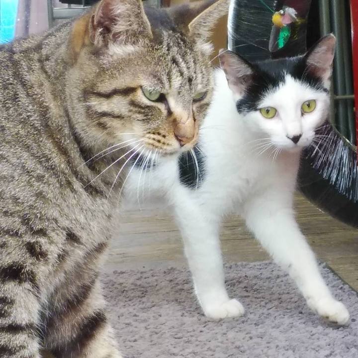 05e458e7 7f93 4c4f ba4b 383001f3a68c 1595291187782