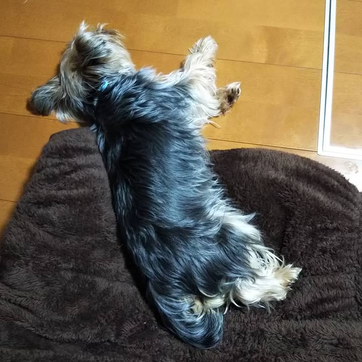 05e46bb9 9261 42be a6b8 9a5b7768440f 1557284732733