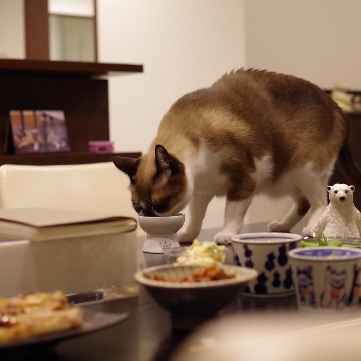 05e481ef 6346 48da 908f fe79559c04c8 1554955060962