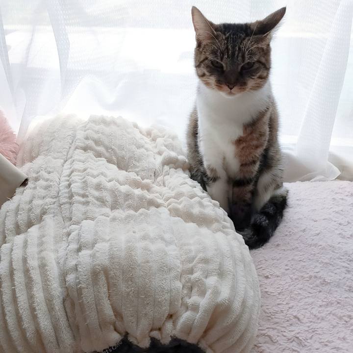 05e4bb34 9f07 493c a939 d98ac0baee0b 1668942230570