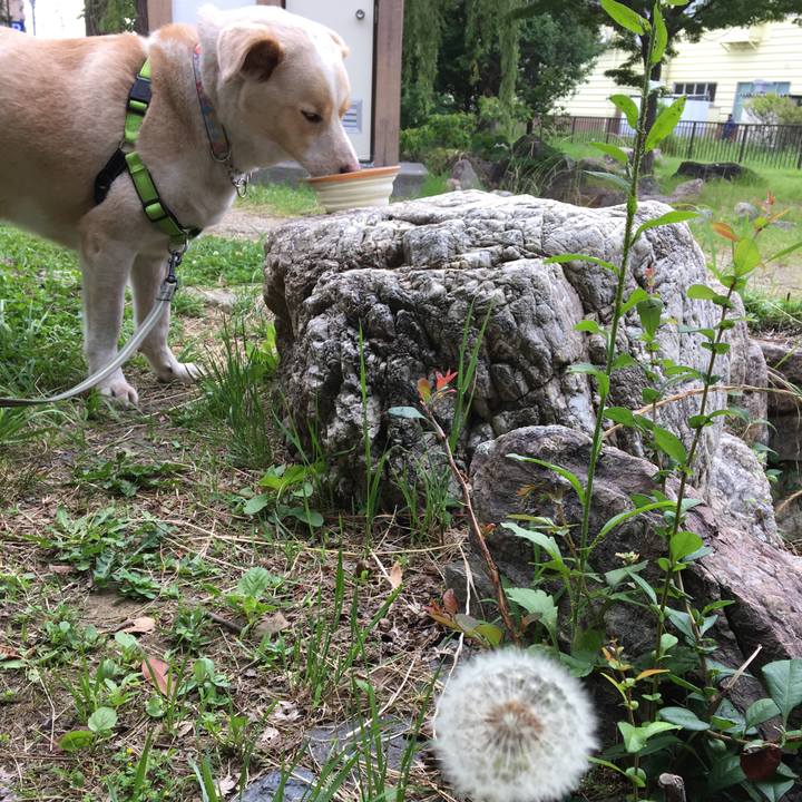 05e4e2be d9c0 4cf1 aebe d1433c6bc1e1 1527583852948