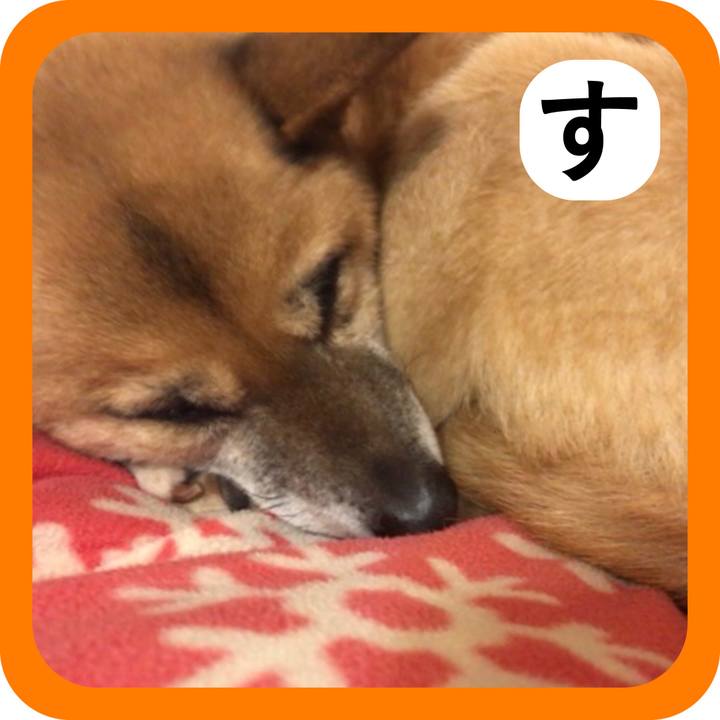 05e51c29 b075 4e22 aab9 ee05696260cf 1514900794806