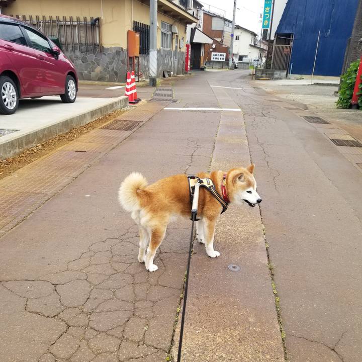 05e52424 c81b 4d2f abd5 d80f52a0a0f4 1748655553608