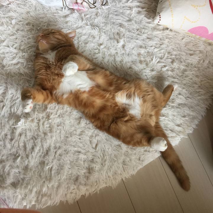 05e52a58 ab29 4efd ac4f 21fa5430c6b7 1595123784880