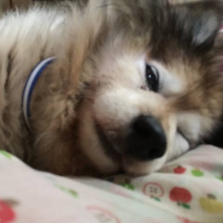 05e56478 3e35 48ae 9690 44fc1e24c310 1603511367008