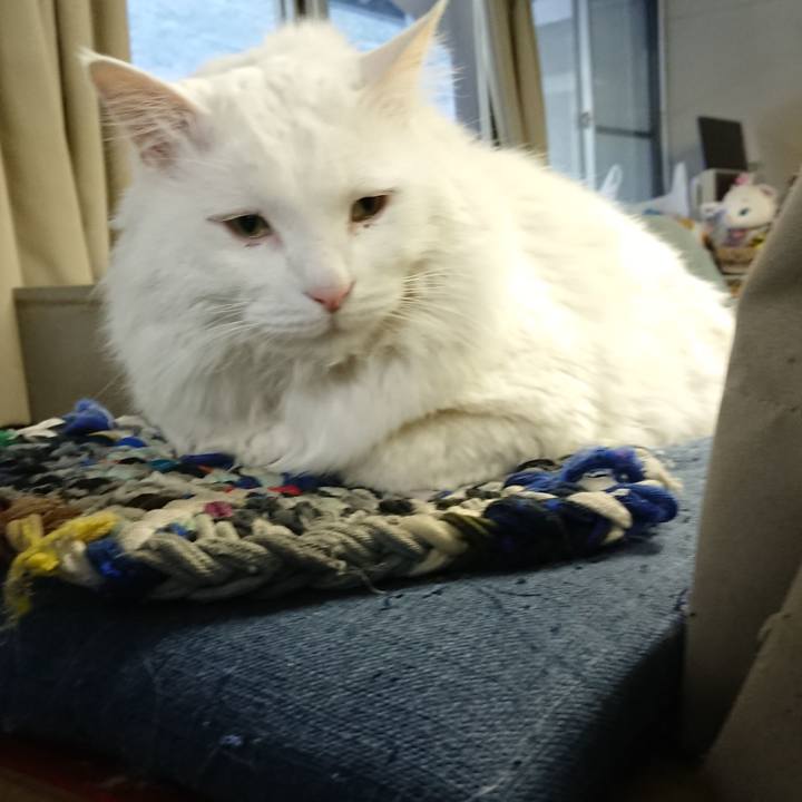 05e57cb8 4653 42e0 b13d 946ccaa863cd 1546813515947