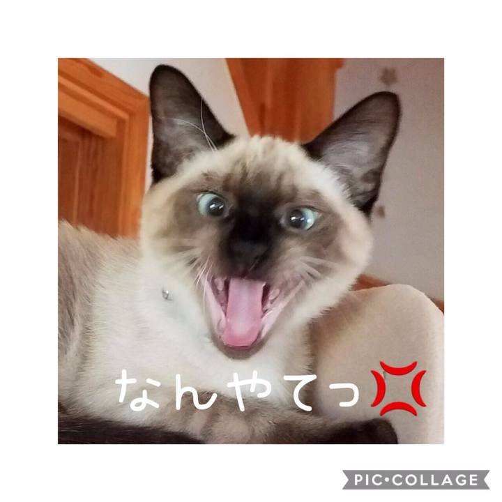 05e58b30 5e3e 4b64 8ee3 3fd6008d4542 1566726805605