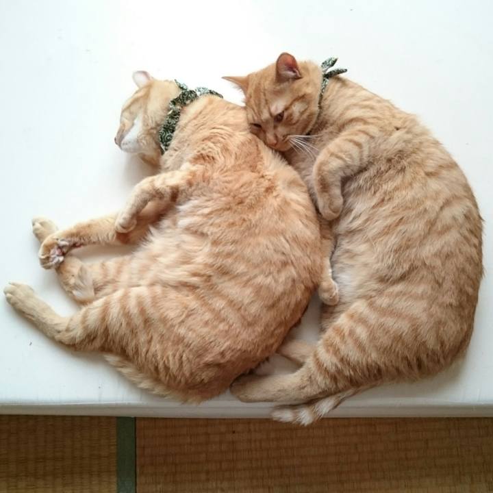 05e5d3c6 5d85 4ee0 bacd 3e9a9ea8bb3f 1563331364331