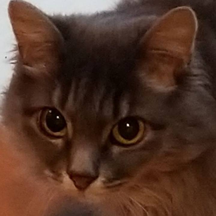 05e5d58b e981 4d51 909a a268ccaa32f2 1597442688176