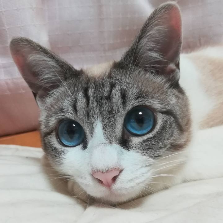 05e5fec8 d920 4b0c a90d f169ec85a021 1529503612316