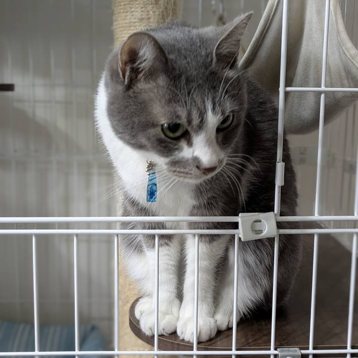 05e60e42 c4ae 438f aed5 fbed87e42588 1768874901089