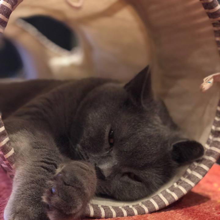 05e640b2 47f8 4a4d b92a 12128b95f6b3 1512421597082