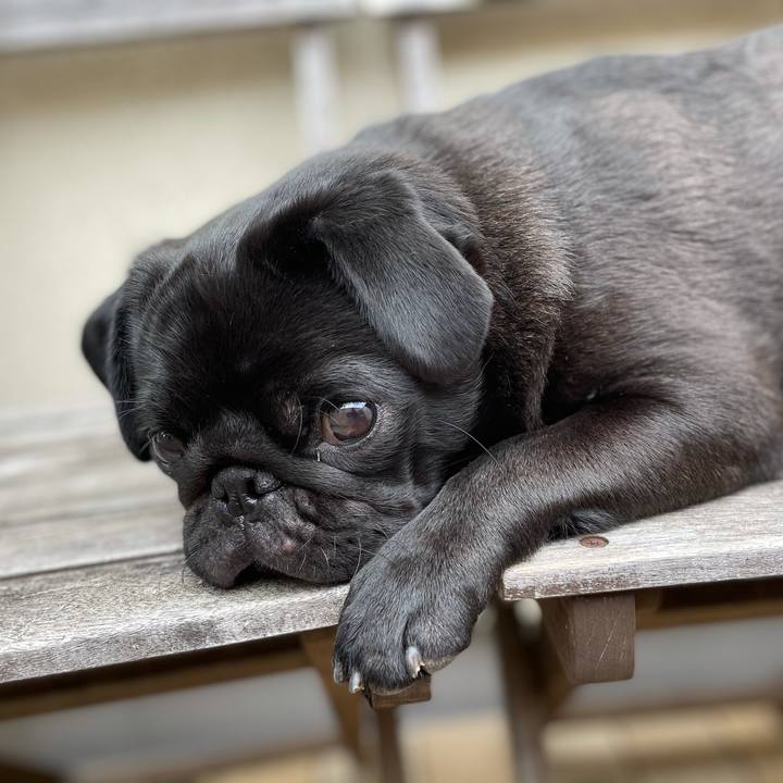 05e64268 c39b 4491 910d c9e8f46e044b 1617799376625