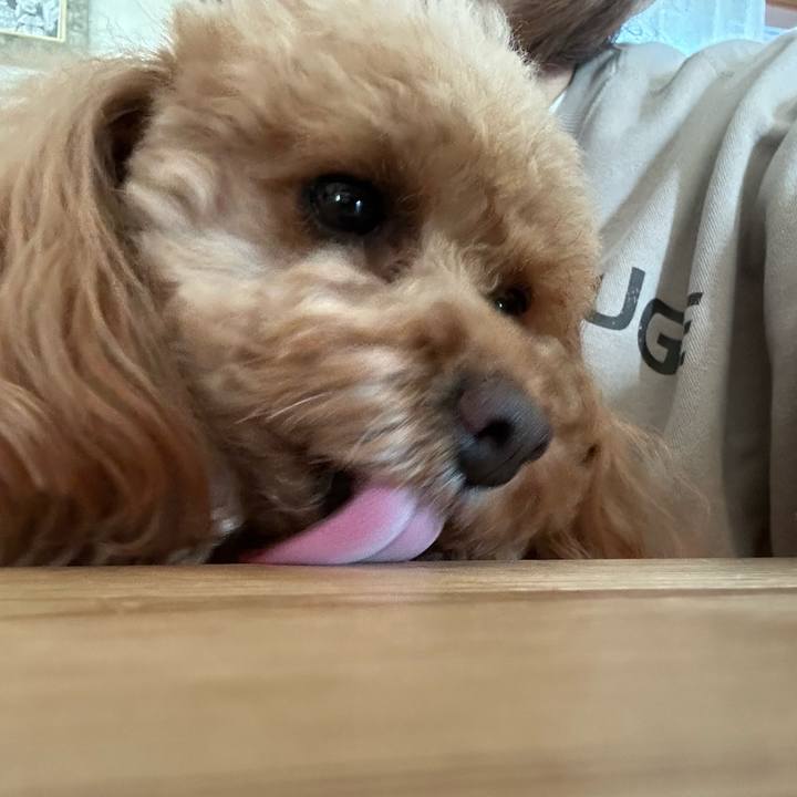 05e65909 4eaa 4a3e 9310 c755a3e45c8a 1764312943445