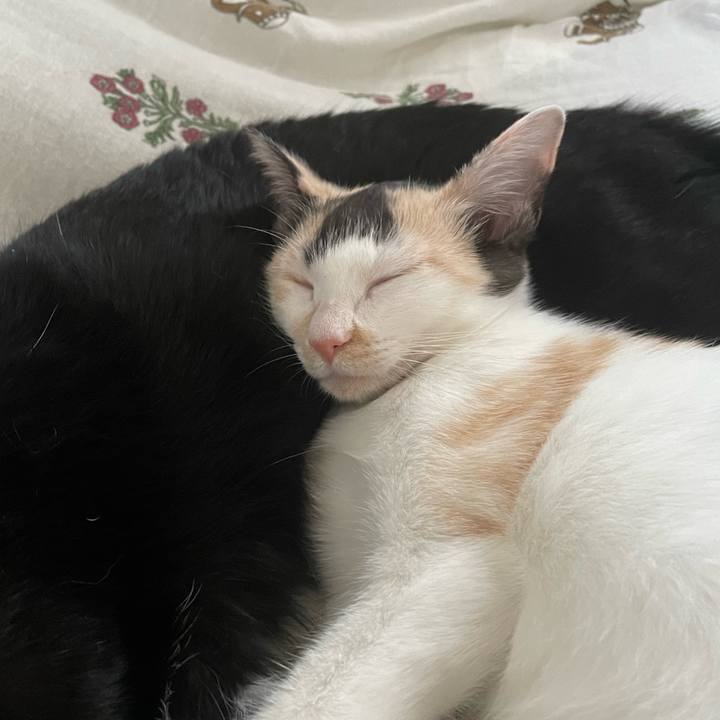 05e67507 a9a5 4dec 915c 13ea4e2a91ae 1663138729776