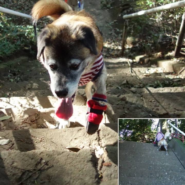 05e67c46 bcba 4fe8 886f 470ba77fa7bd 1535241978507