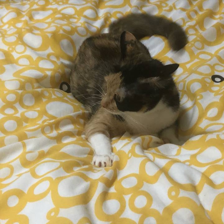 05e68bc8 6101 4ab4 978a 7d52c59030e2 1588394870084